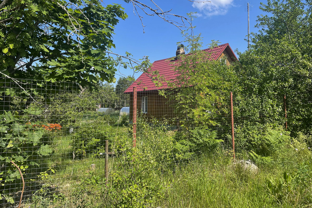 дешевый забор для дачи