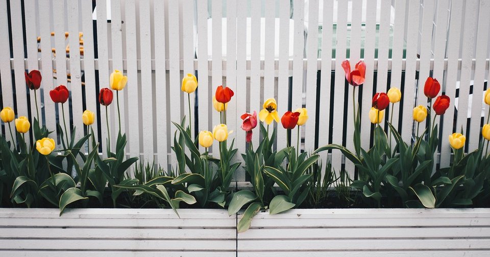 Как выбрать забор для частного дома: важные параметры и 7 лучших материалов (75 фото)