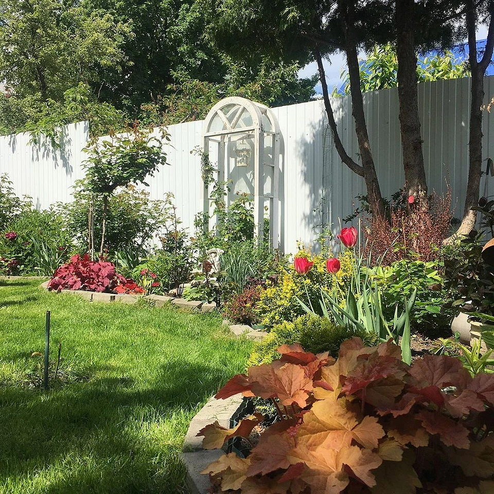 Как выбрать забор для частного дома: важные параметры и 7 лучших материалов (75 фото)