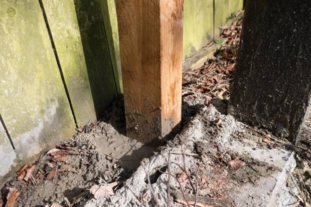 деревянные столбы для забора