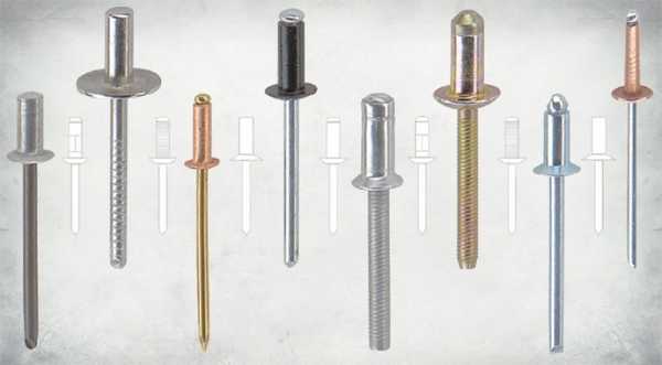 Многообразие видов по толщине