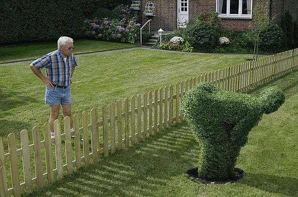 Конфликт соседей